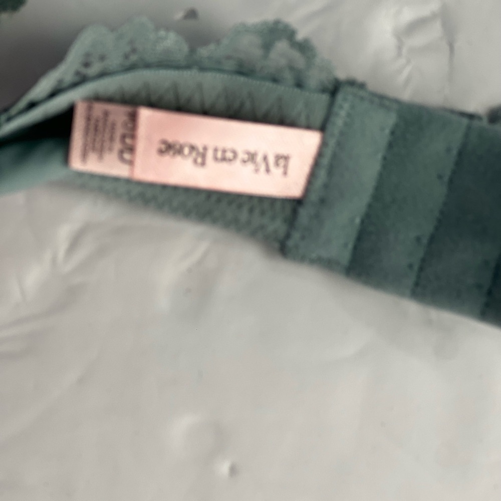 La Vie En Rose Light Teal Underwear Bra 40DD - Lace Back - Picture 9 of 10